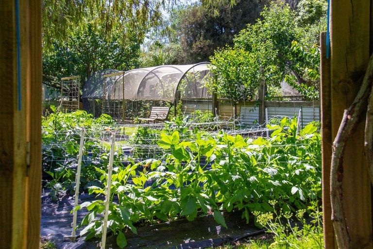 Photo of property in 1531 Kahutara Road, Kahutara, Featherston, 5772