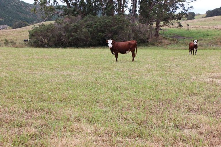 Photo of property in 1453 Tangowahine Valley Road, Tangowahine, Dargaville, 0372