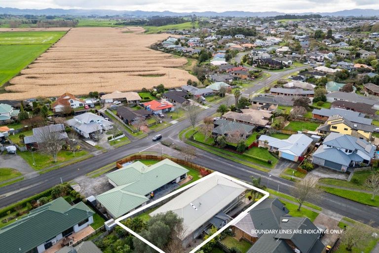 Photo of property in 47 Western Heights Drive, Western Heights, Hamilton, 3200