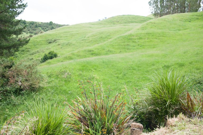 Photo of property in 337 Mangarino Road, Te Kuiti, 3986