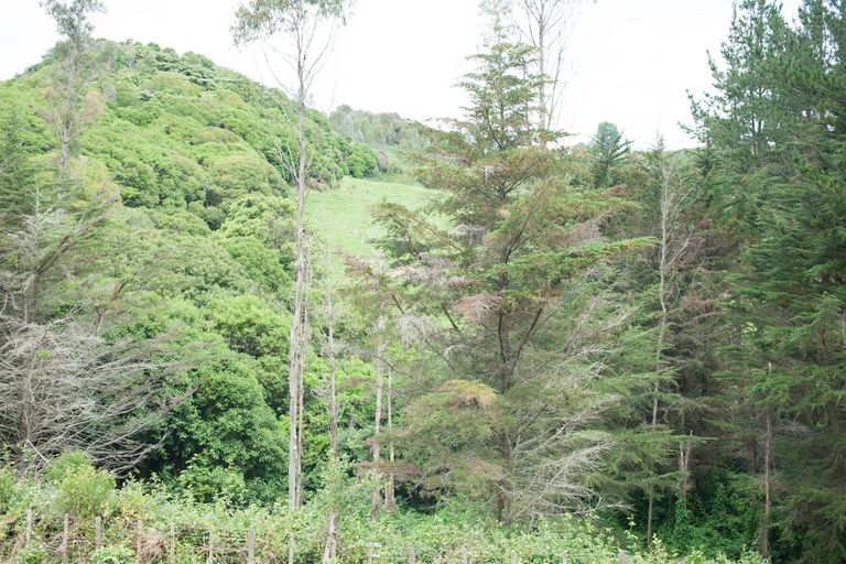 Photo of property in 337 Mangarino Road, Te Kuiti, 3986