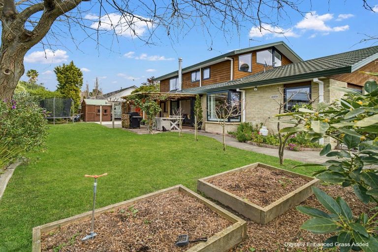 Photo of property in 49 James Cook Street, Havelock North, 4130