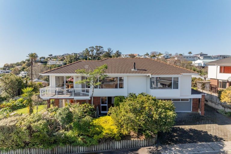 Photo of property in 19 Roslyn Road, Bluff Hill, Napier, 4110
