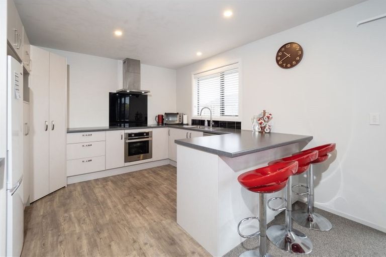 Photo of property in 32a Willow Street, Hampstead, Ashburton, 7700