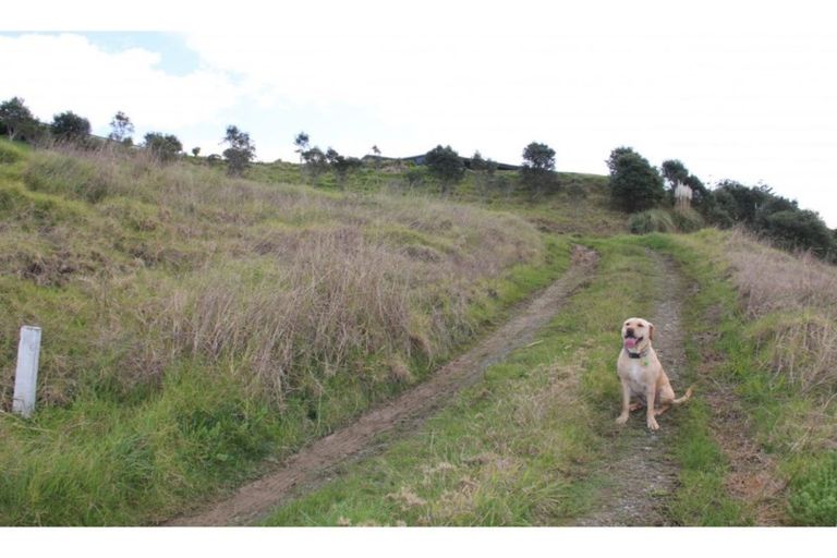 Photo of property in 286 Cove Road, Waipu, 0582