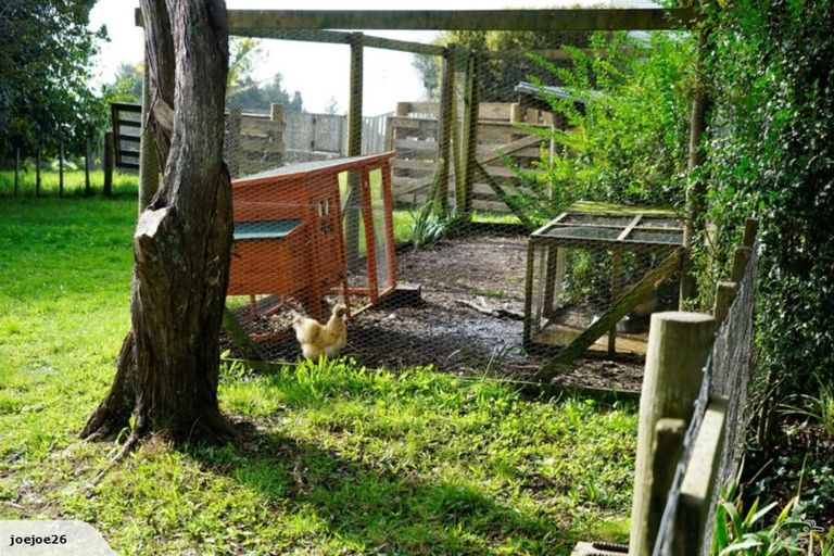 Photo of property in 373 Sunnyside Road, Coatesville, Albany, 0792