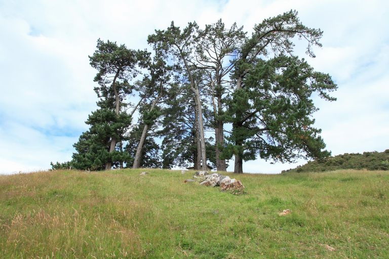 Photo of property in 25 Kauri Lane, Huntly, 3771