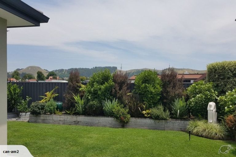 Photo of property in 228 Avondale Road, Greenmeadows, Napier, 4112