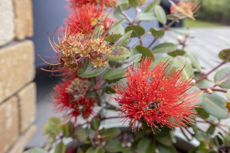 Photo of property in 5a Nathan Avenue, Paraparaumu Beach, Paraparaumu, 5032