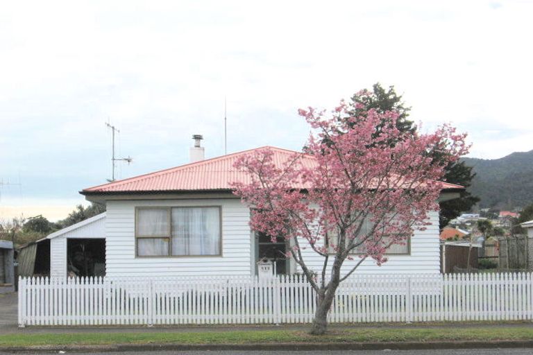 Photo of property in 111 Fenton Street, Thames, 3500