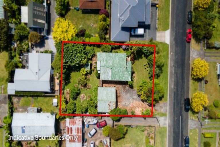 Photo of property in 17 Albert Street, Waihi, 3610