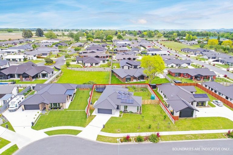 Photo of property in 6 Gibbs Place, Matamata, 3400