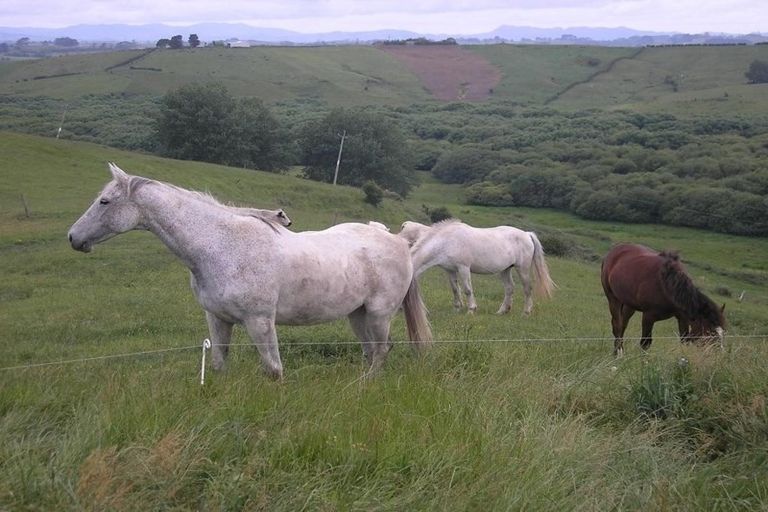 Photo of property in 44 Slater Road, Ruawaro, Huntly, 3772