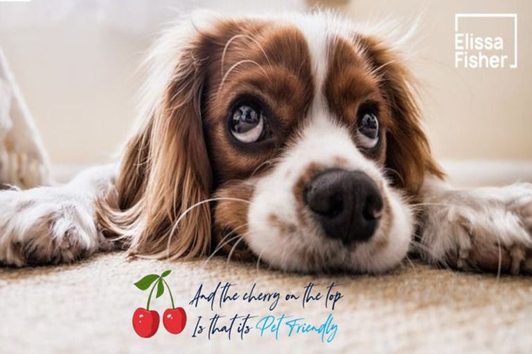 Photo of property in 4a Tuscany Way, Te Atatu Peninsula, Auckland, 0610