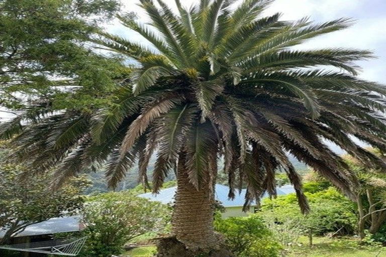 Photo of property in 149 Pembroke Road, Wilton, Wellington, 6012