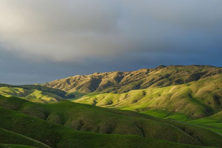 Photo of property in 292 Boom Rock Road, Ohariu, Wellington, 6037