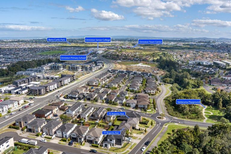 Photo of property in 75 Argento Avenue, Flat Bush, Auckland, 2019