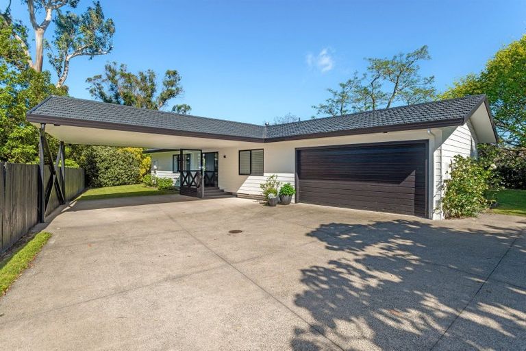 Photo of property in 232a Ormond Road, Mangapapa, Gisborne, 4010
