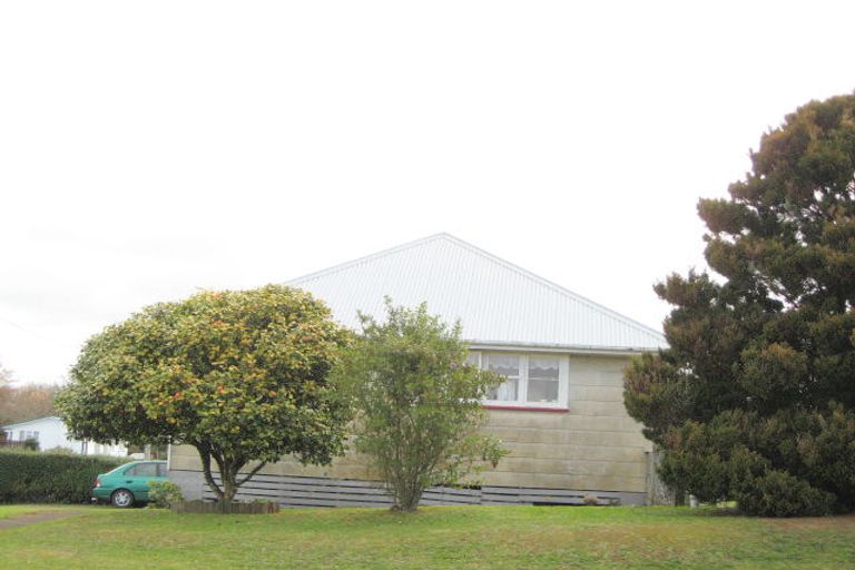 Photo of property in 87 Brecon Road, Stratford, 4332