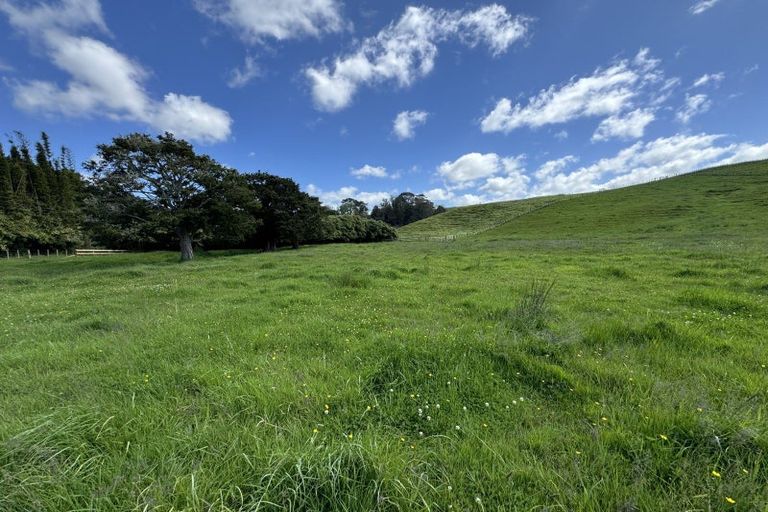 Photo of property in 445 Avoca Road, Mamaranui, Dargaville, 0372