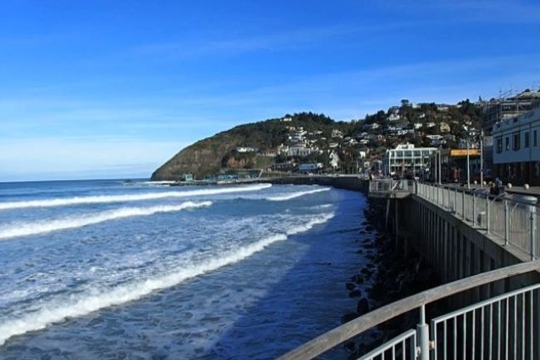 Photo of property in 1/89 Bedford Street, Saint Clair, Dunedin, 9012