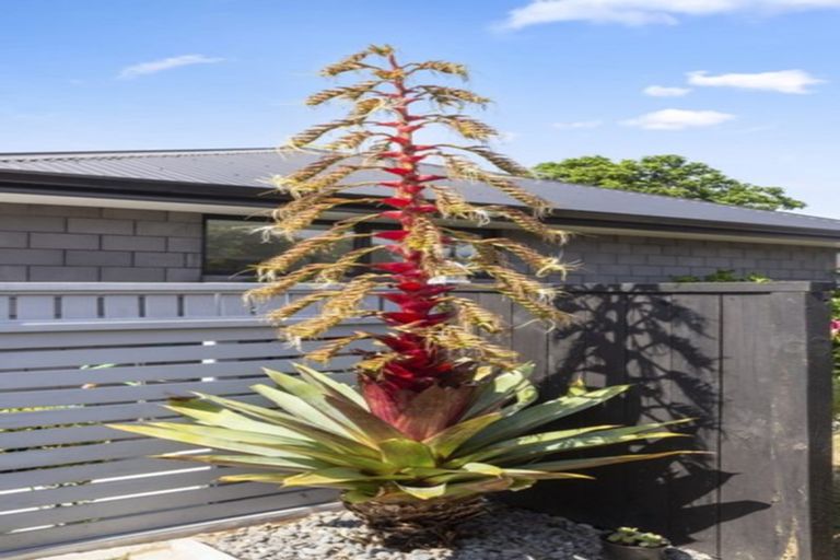 Photo of property in 4 Maniaroa Drive, Katikati, 3129