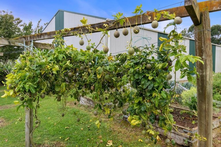 Photo of property in 800 Tuhikaramea Road, Ngahinapouri, Hamilton, 3290