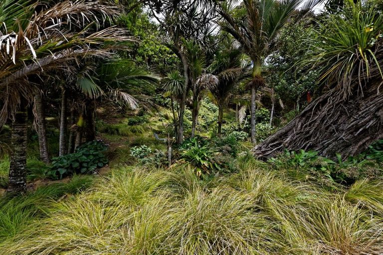 Photo of property in 54 Beach Valley Road, Piha, New Lynn, 0772