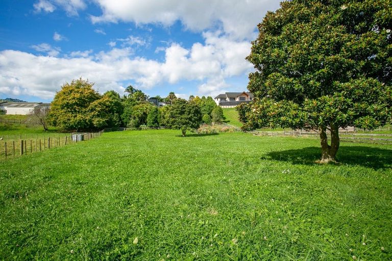 Photo of property in 129 Maungakawa Road, Cambridge, 3496