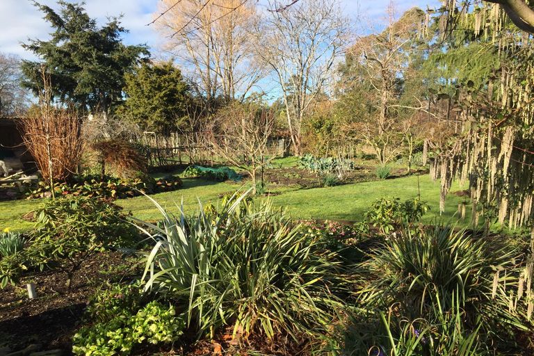 Photo of property in 77 Mill Road, Waimate, 7924