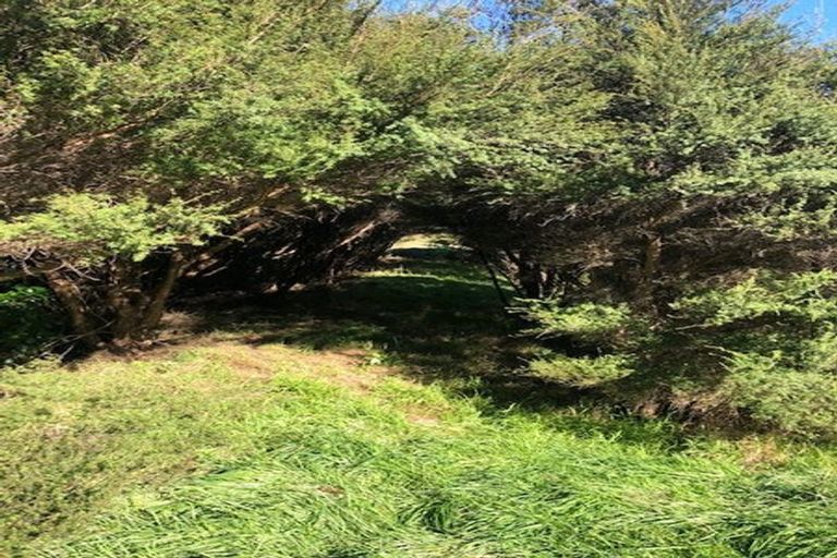 Photo of property in 310 South Karori Road, Karori, Wellington, 6012