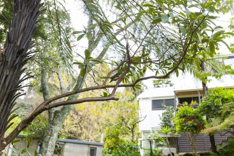 Photo of property in 199a Russell Street, Whataupoko, Gisborne, 4010