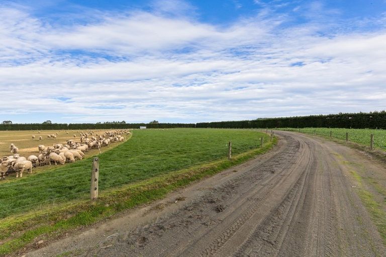 Photo of property in 214 Kivers Road, Burnham, Christchurch, 7677