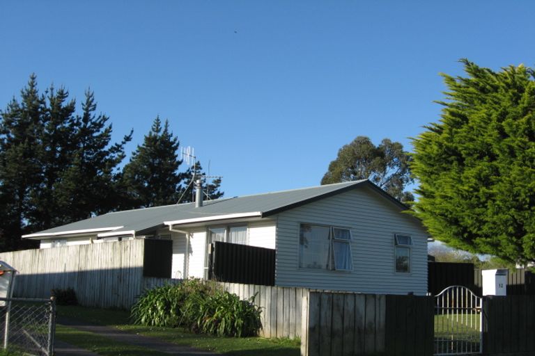 Photo of property in 12 Brownlie Crescent, Huntly, 3700