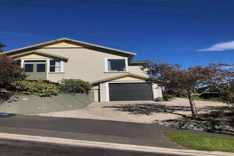 Photo of property in 22 Birchfield Avenue, North East Valley, Dunedin, 9010