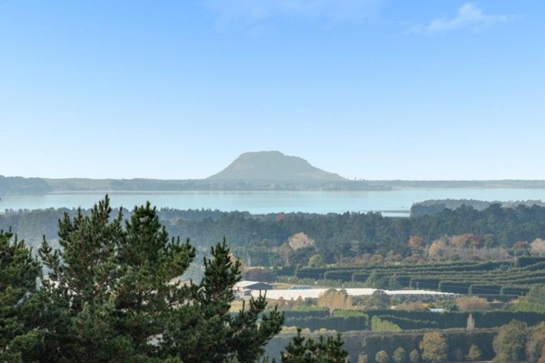 Photo of property in 329 Hot Springs Road, Tahawai, Katikati, 3178