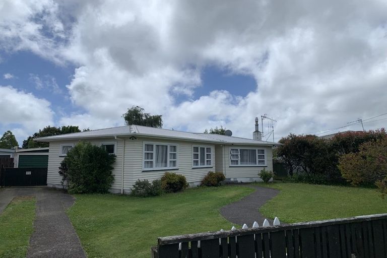 Photo of property in 21 Freyberg Street, Levin, 5510