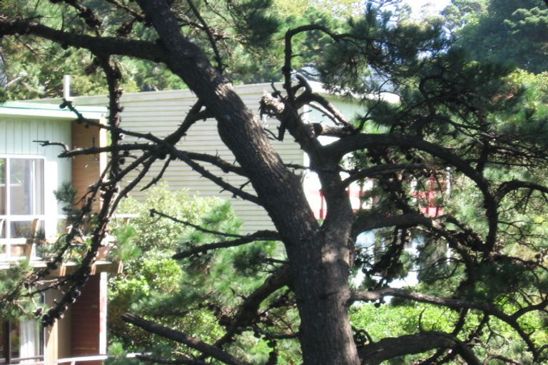 Photo of property in 28 Anne Street, Wadestown, Wellington, 6012