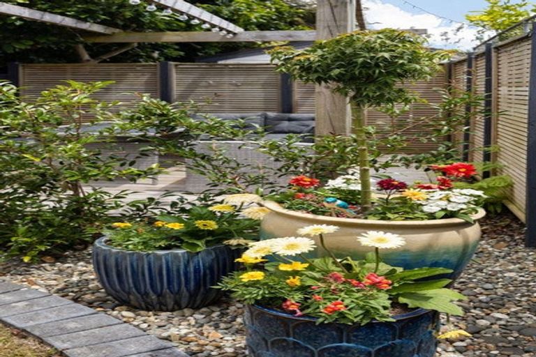 Photo of property in 5/64 Hamilton Road, Cambridge, 3434