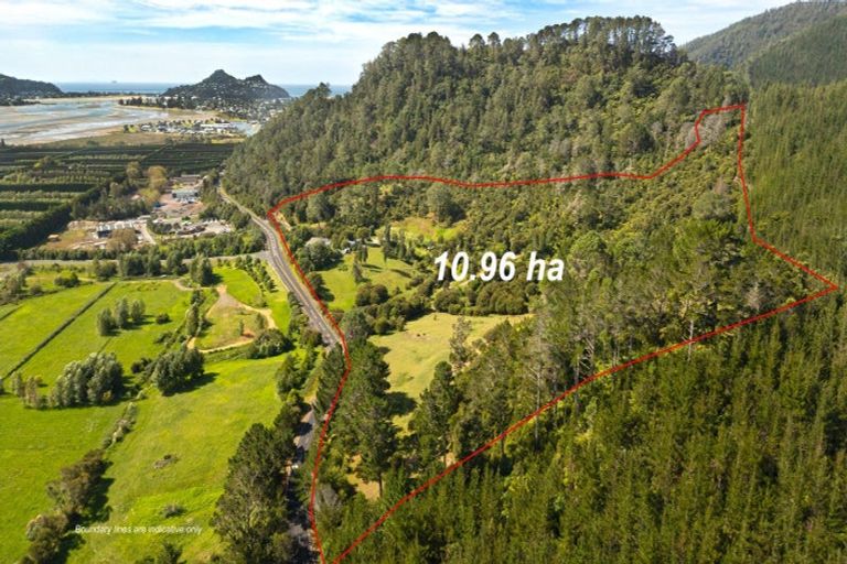 Photo of property in 896a Hikuai Settlement Road, Pauanui, Hikuai, 3579