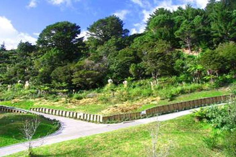 Photo of property in 1206e Hikuai Settlement Road, Pauanui, Hikuai, 3579