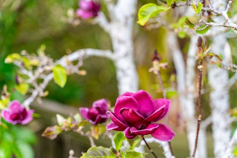 Photo of property in 1650 Ngunguru Road, Ngunguru, Whangarei, 0173