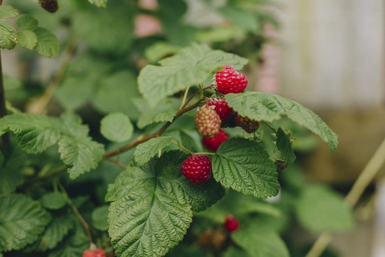 Photo of property in 17 Pekanga Drive, Fox Glacier, 7886