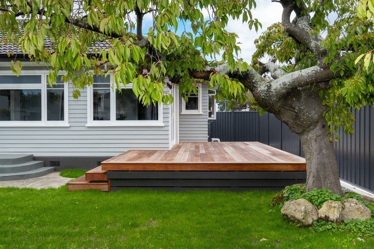 Photo of property in 503a Grove Road, Mayfair, Hastings, 4122