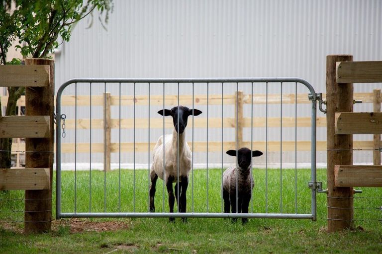 Photo of property in 303a Walton Road, Richmond Downs, Walton, 3475