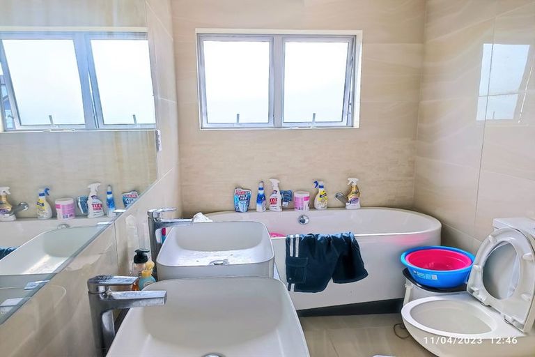 Photo of property in 119 Argento Avenue, Flat Bush, Auckland, 2019