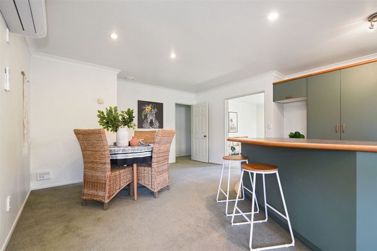 Photo of property in 12 Hastings Place, Hamilton Lake, Hamilton, 3204