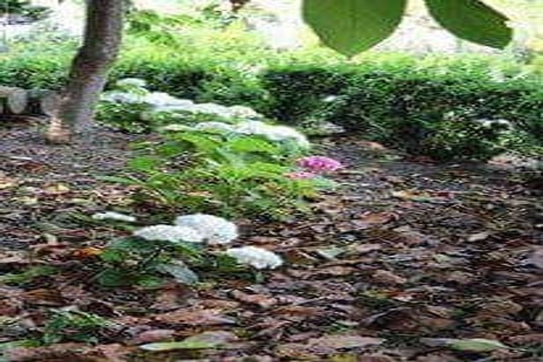 Photo of property in 1 Avenue Road, Greenmeadows, Napier, 4112