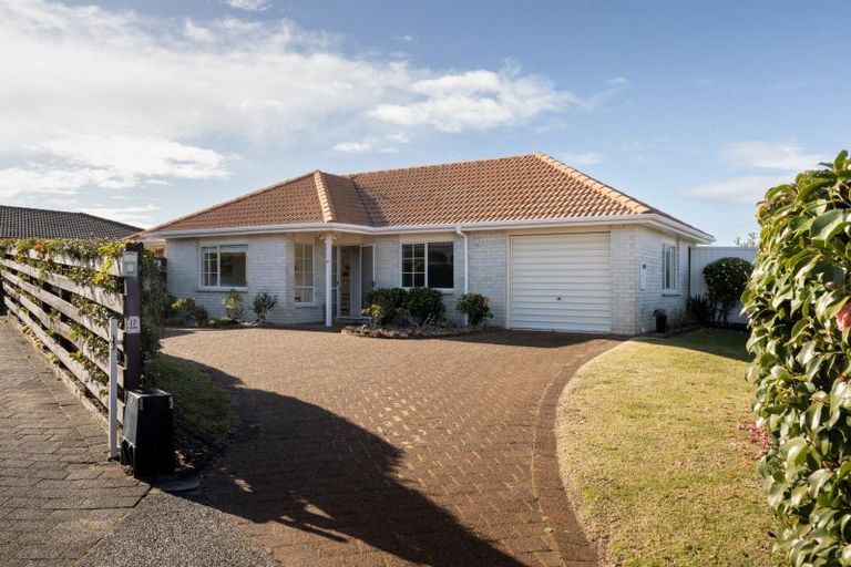 Photo of property in 17 Balmacewen Place, Mount Maunganui, 3116