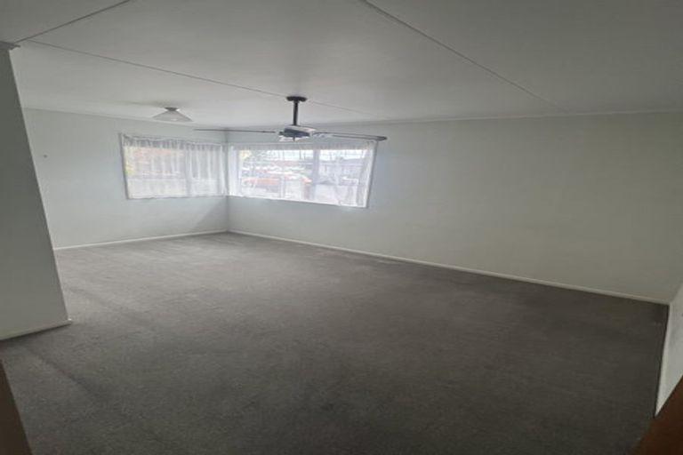 Photo of property in 301-303 Nelson Street North, Hastings, 4122